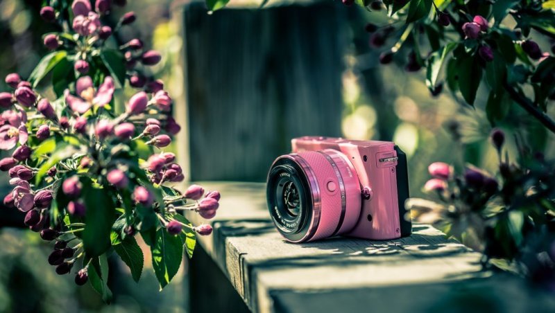 Фотоаппарат и цветы