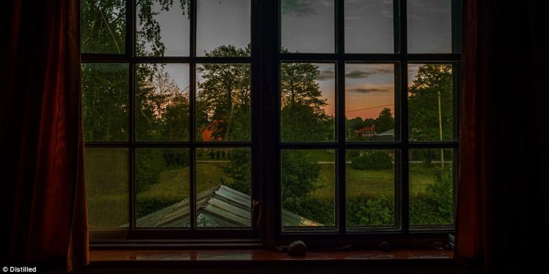 Окно с красивым видом