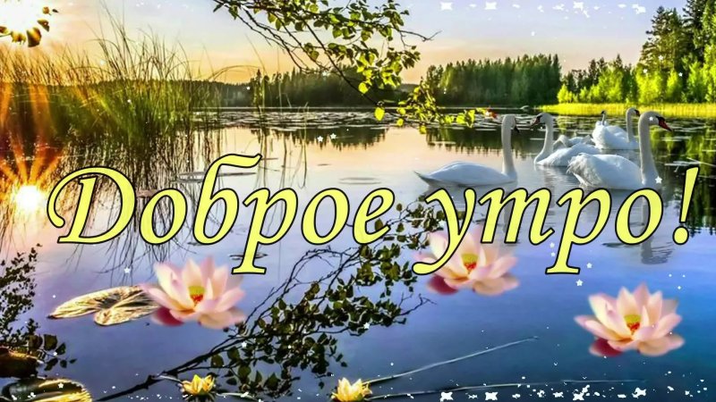 Красивые пожелания с добрым утром