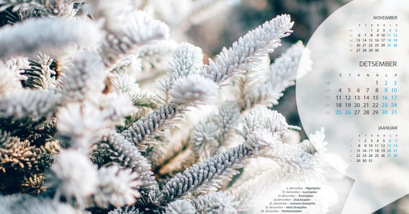 Зимний календарь