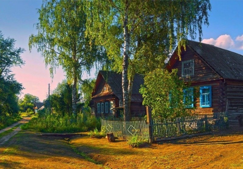 Деревня ляды Бежецкий район