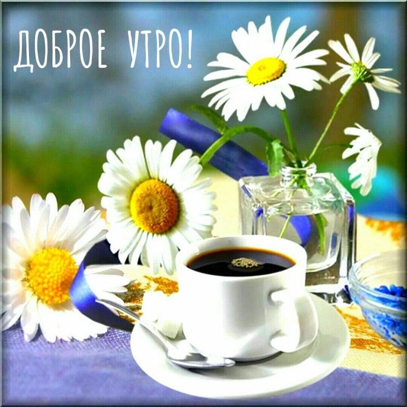 Пожелания с добрым. Уа Тром