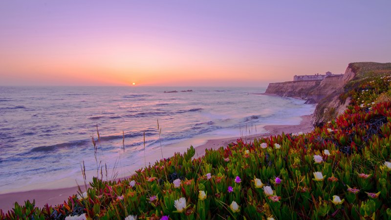 Мыс Агира Крым цветы