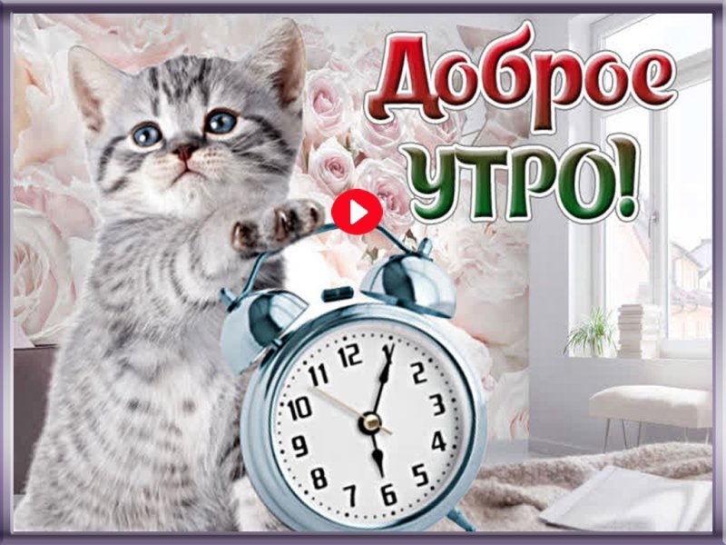 Открытки с добрым утром с котятами