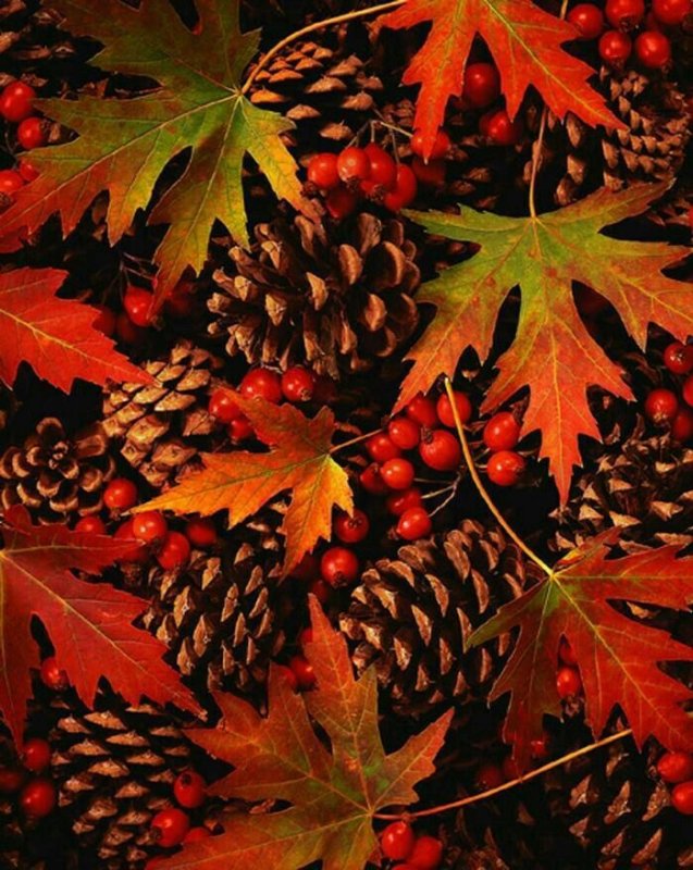 Красивая осень