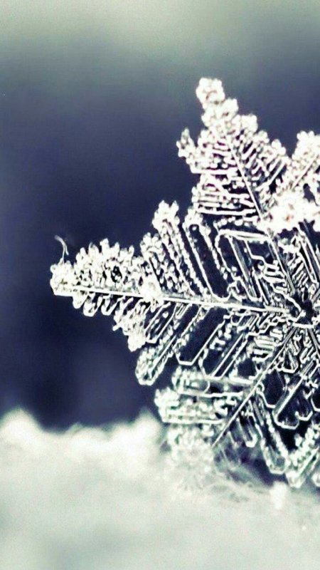 Снежинка Макросъемка