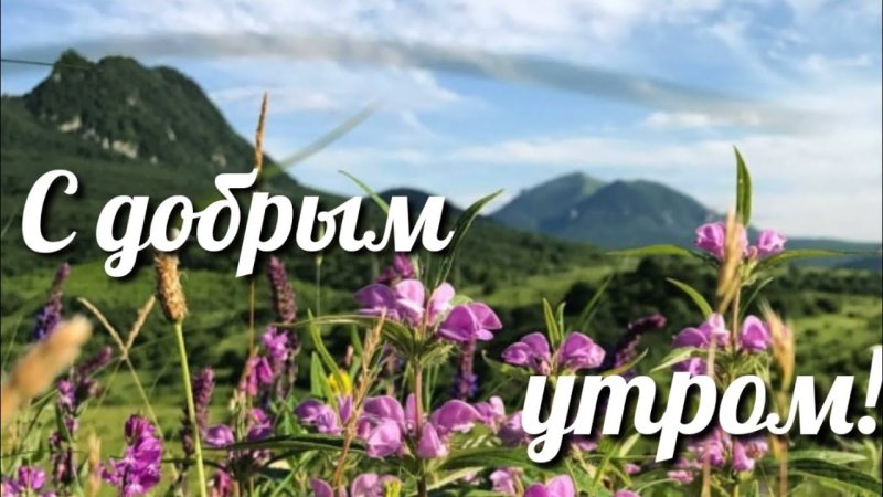 Картинки с добрым утром природа