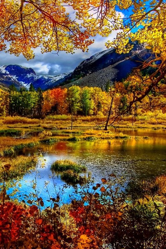 Осенняя природа