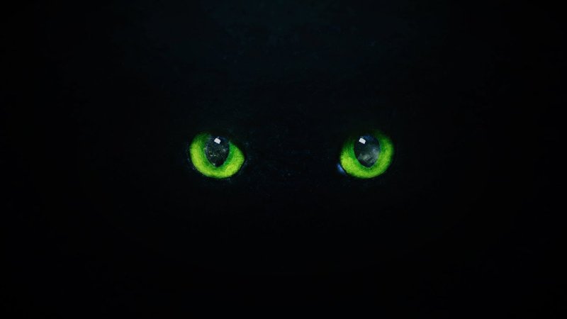 Кошачьи глаза в темноте