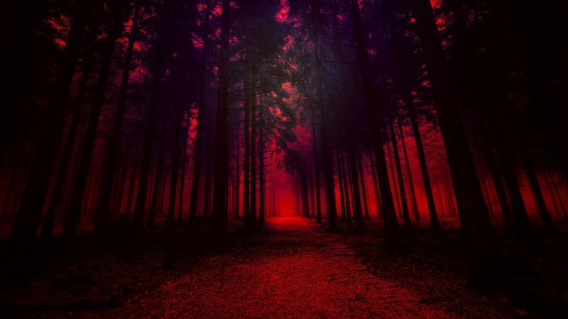Мрачный лес