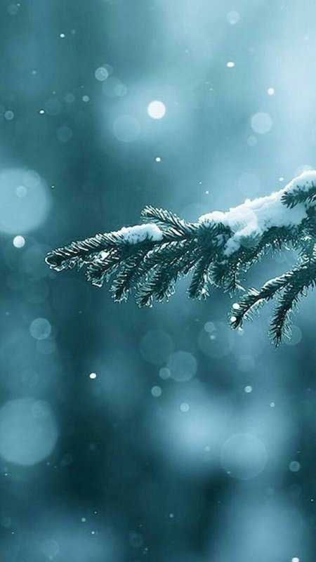 Зимние заставки на телефон