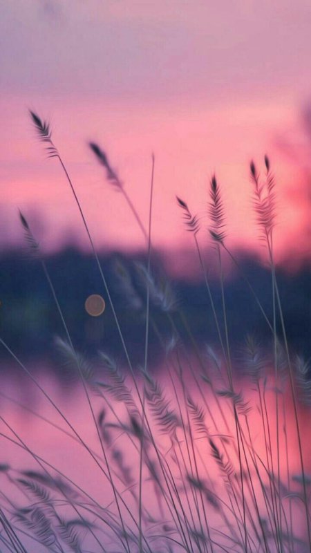 Нежная природа