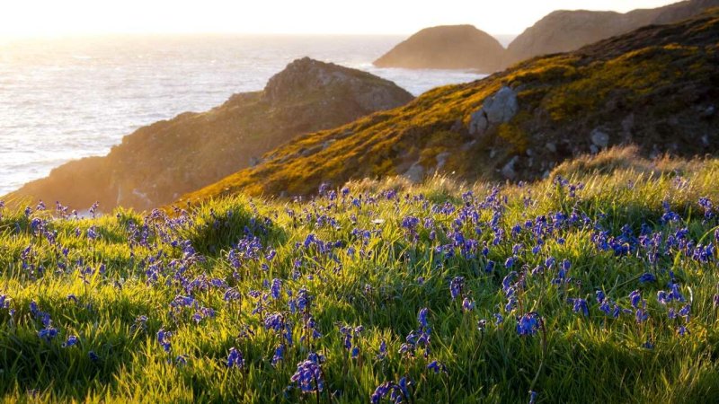 Весна в Крыму