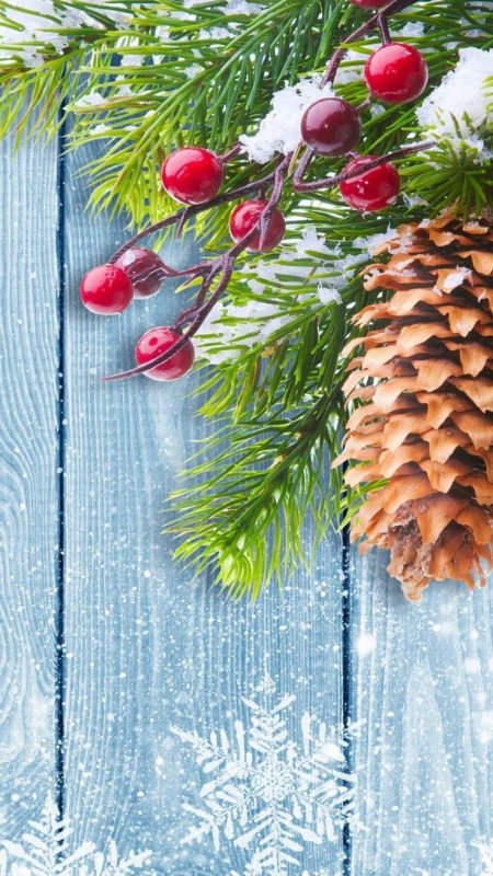 Новогодняя зима