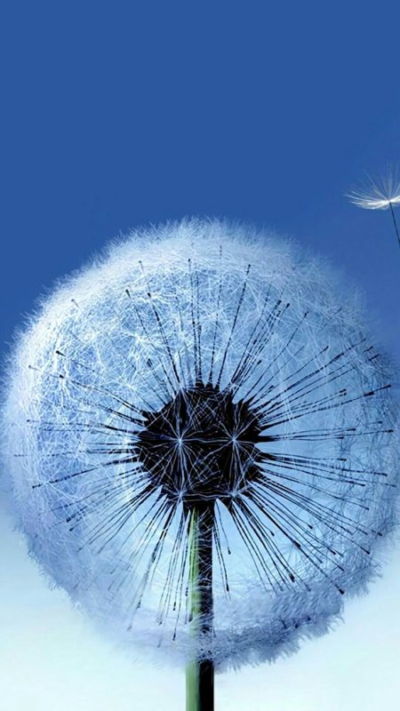 Необычные заставки на телефон