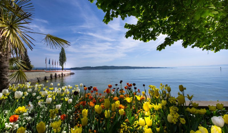 Боденское озеро Германия