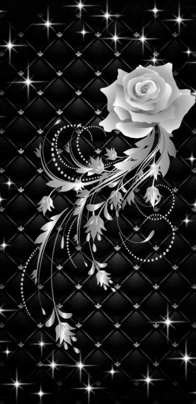 Красивые цветы на черном фоне