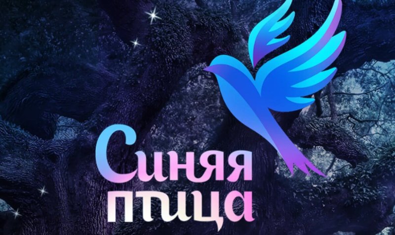Синяя птица телепередача