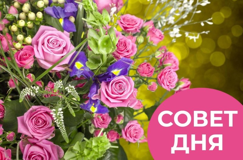 Яркие цветы