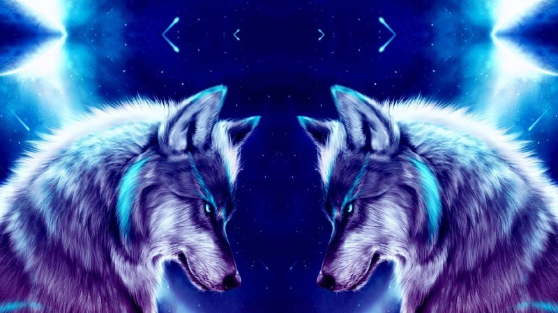 Красивый волк