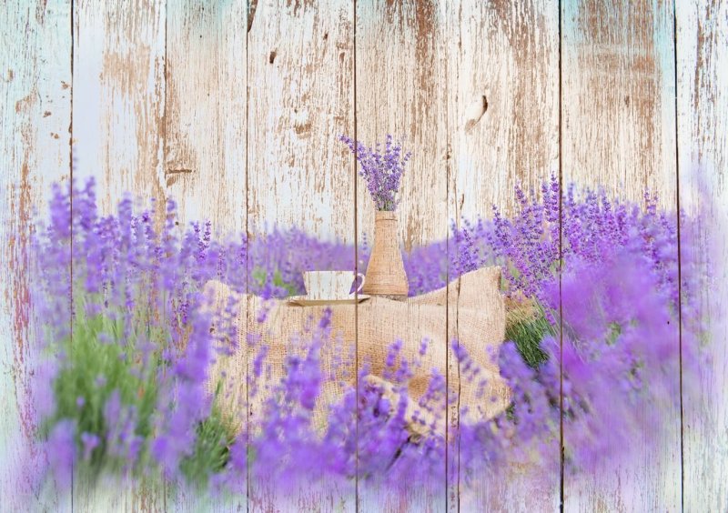 Фон в стиле Прованс