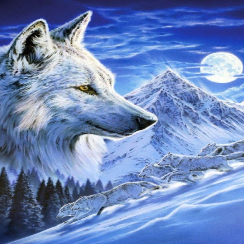 Картинки на рабочий стол волки