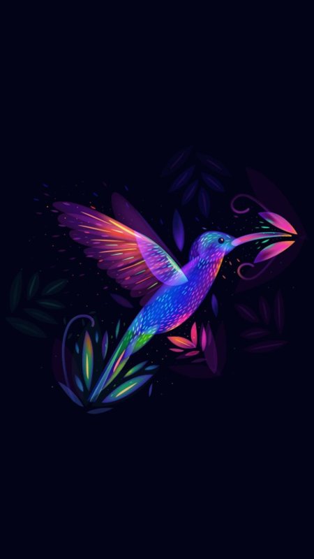 Райские птицы на черном фоне