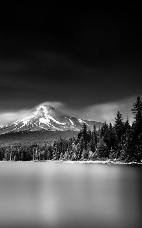 Черно белая природа