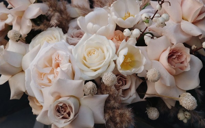 Шикарные цветы