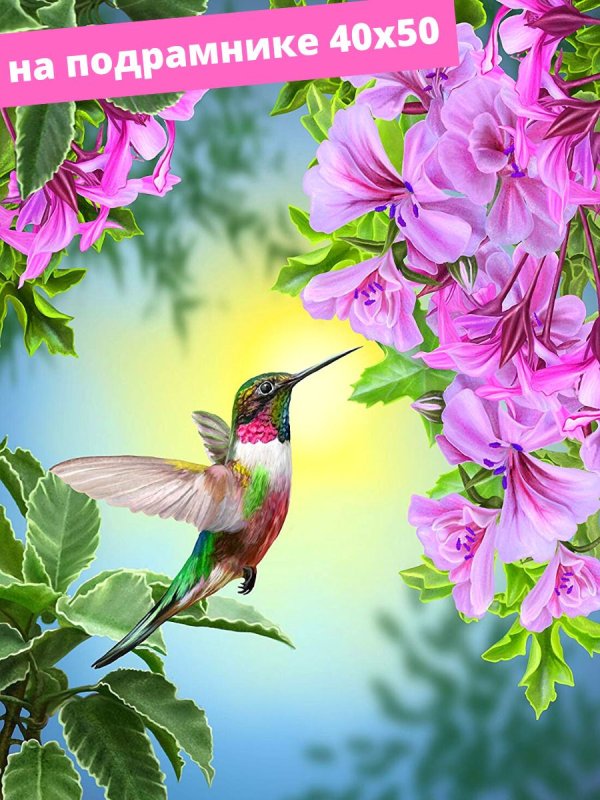 Колибри птица