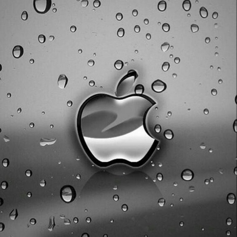 Необычные обои на телефон