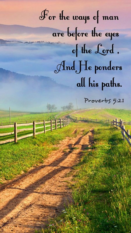 Природа деревня