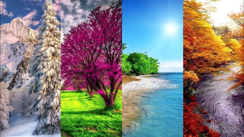 Пейзаж по временам года