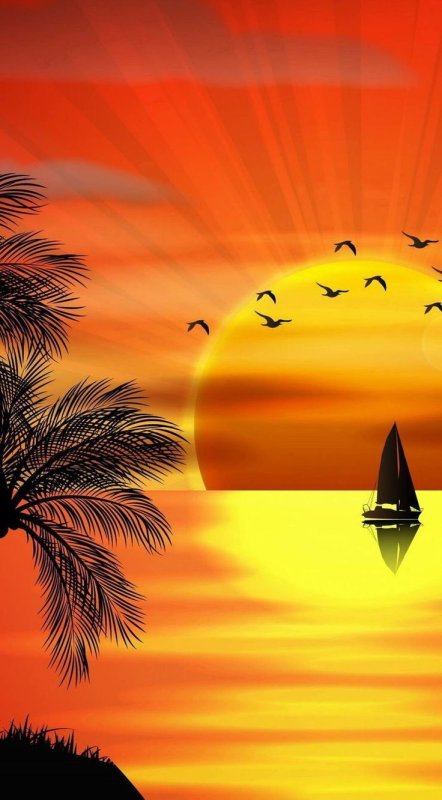 Обои на телефон закат