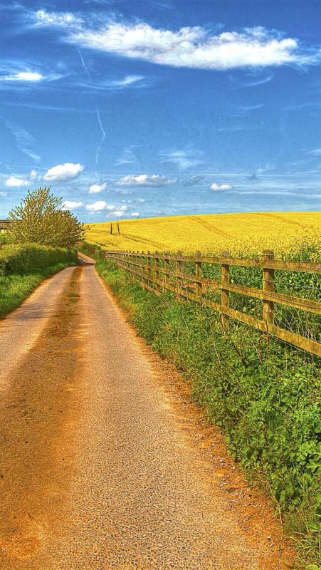 Деревенский пейзаж