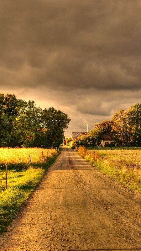 Летняя дорога