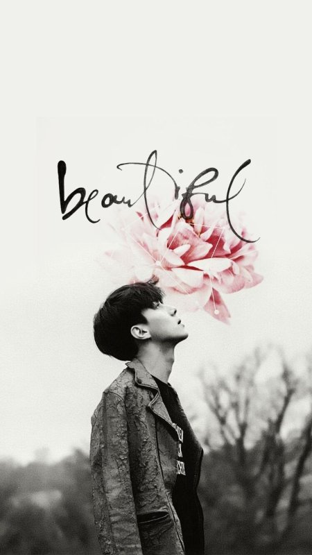 Красивые корейские обои на телефон