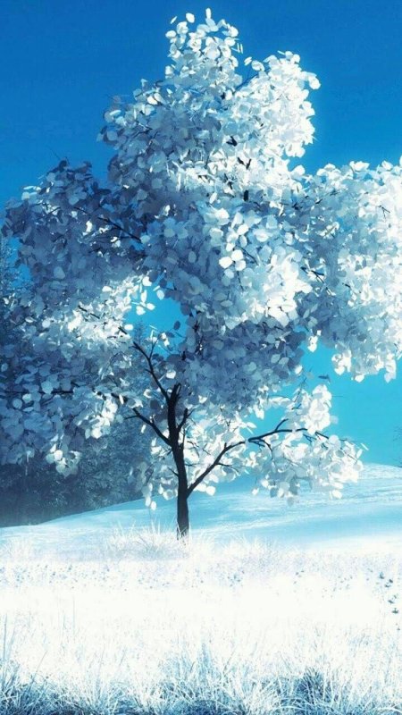 Зимний пейзаж