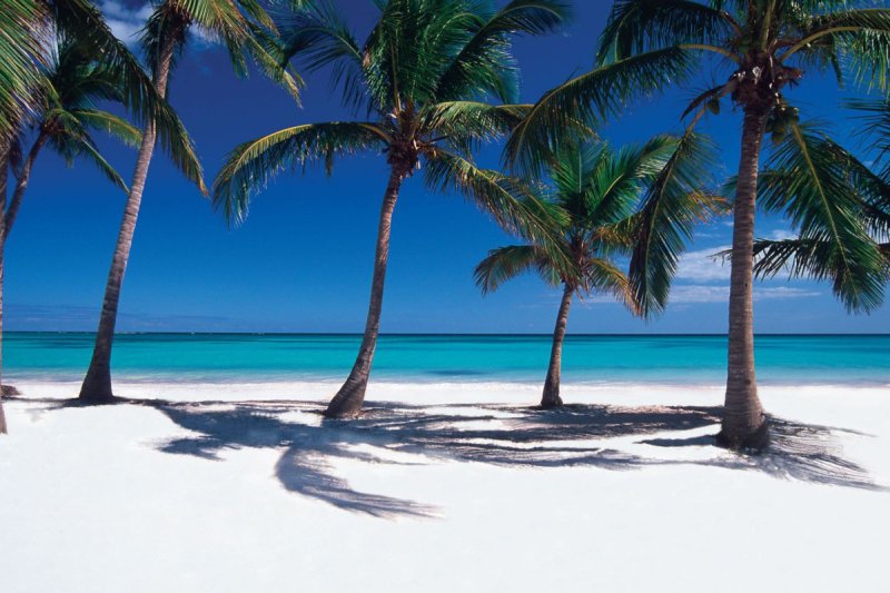 Доминикана Саона пальмы