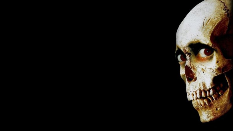 Череп на черном фоне картинки