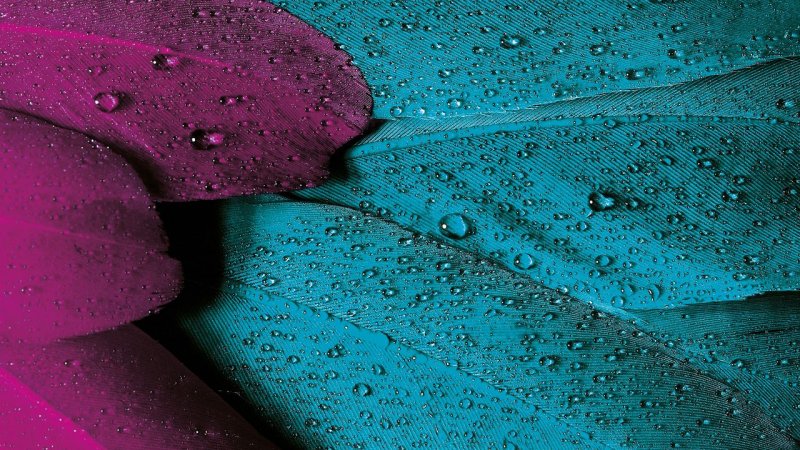 Бирюзовые картинки на рабочий стол