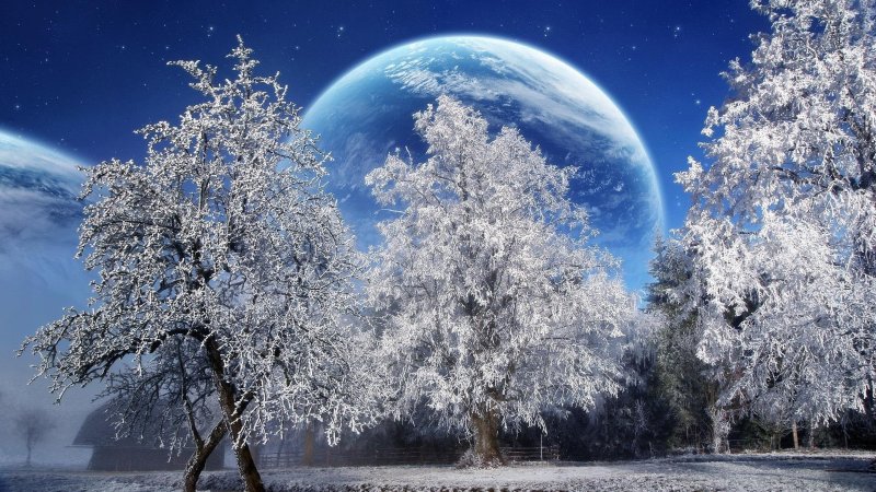 Снежные деревья