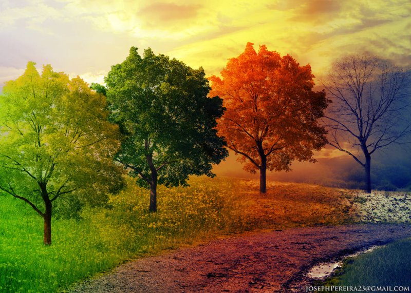 Пейзаж времена года