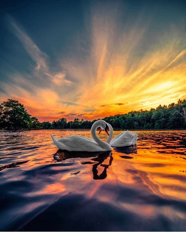 Счастье природа