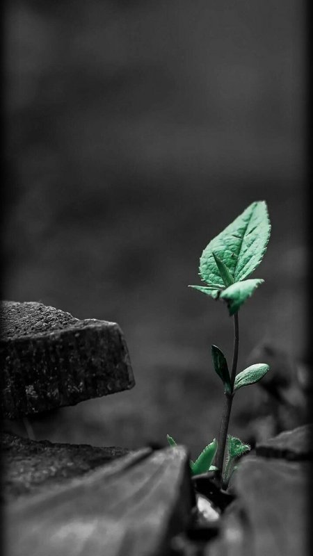 Красивые картинки со смыслом