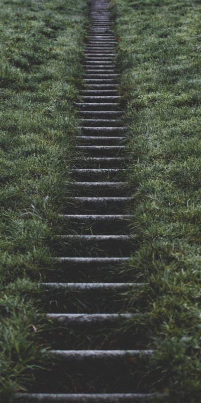 Травяная лестница