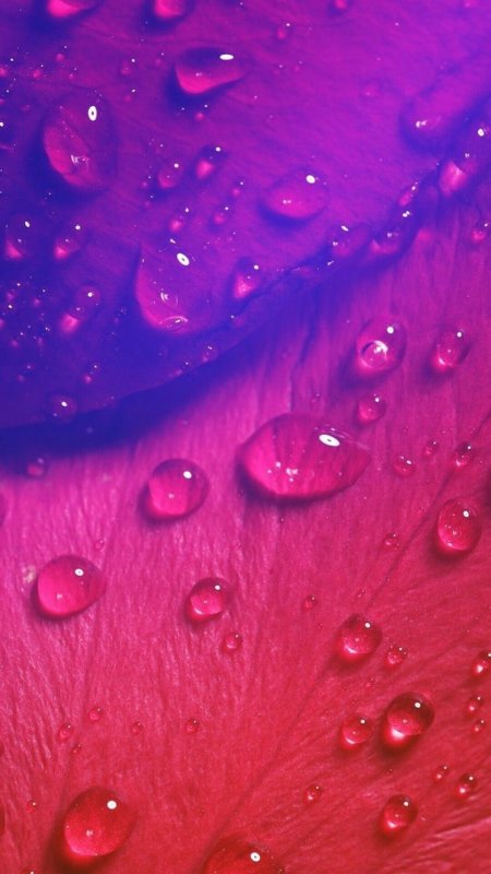 Фоны красивые и редкие