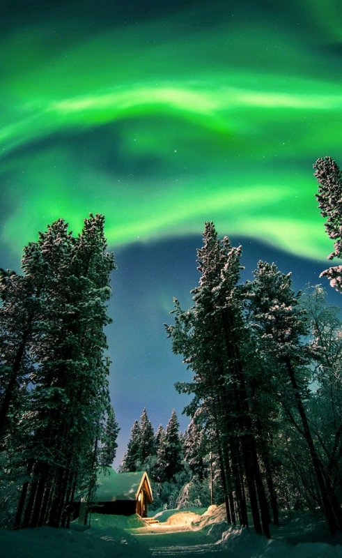 Природа севера