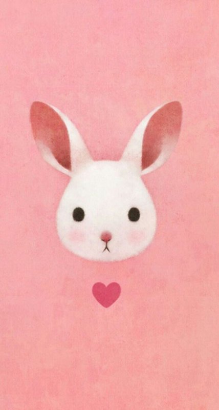 Кролик на розовом фоне