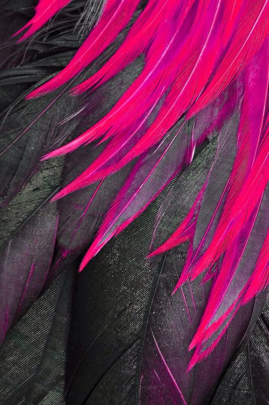 Черные перья